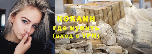 шишки Белоозёрский