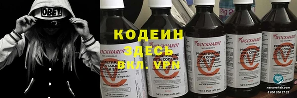 шишки Белоозёрский