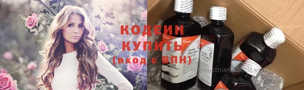 шишки Белоозёрский