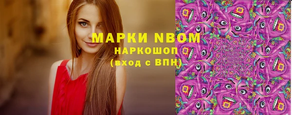 шишки Белоозёрский