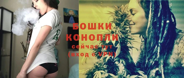 шишки Белоозёрский