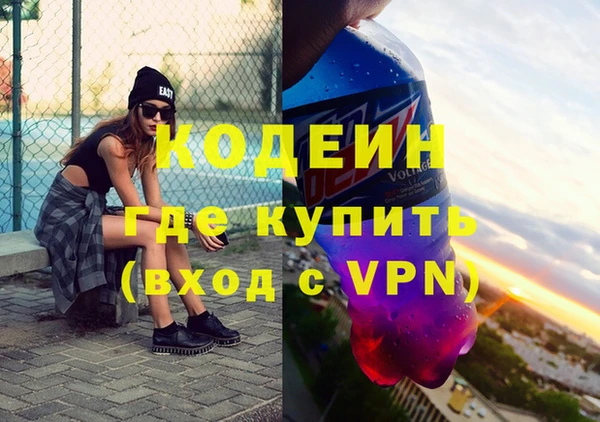 шишки Белоозёрский