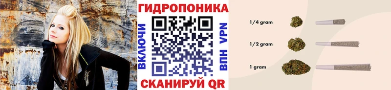 Шишки марихуана Ganja  Буйнакск 